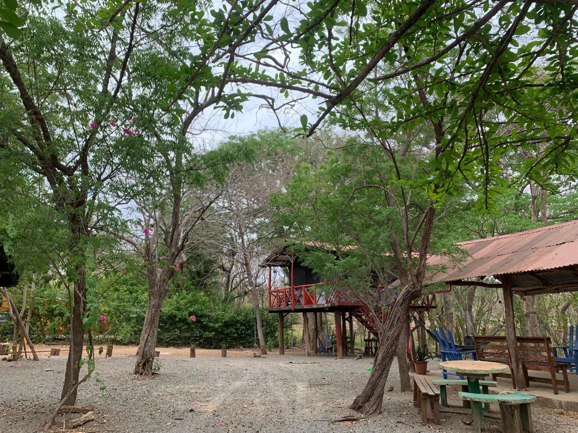 Nieves Surf Hostel And Camping Playa Avellana Exteriör bild